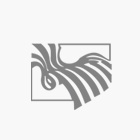 Logo RIstil